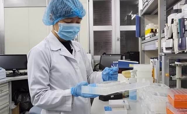 Virus corona chủng mới ở Đà Nẵng: “Họ hàng” của chủng ở Bắc Kinh? - Hình 2 Virus corona chung moi o Da Nang: “Ho hang” cua chung o Bac Kinh?-Hinh-2