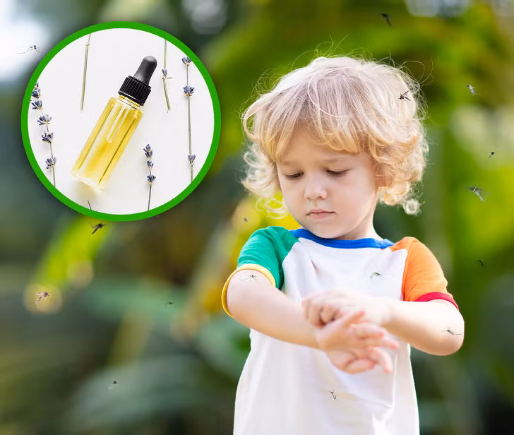 10. Hoa oải hương: Dầu oải hương có thể giúp chữa lành vết thương và vết côn trùng cắn. Hoa oải hương giúp giảm lo âu, mất ngủ và trầm cảm. Dầu được làm bằng loại thảo mộc này cũng có thể chống lại nhiễm trùng kháng nấm. Hoa oải hương được sử dụng nhiều nhất để sản xuất các loại dầu và bạn có thể sử dụng nó như một loại kem dưỡng ẩm 1-2 lần/ngày. Ảnh: BS. Video "Bí quyết nấu nước dùng ngọt thơm từ thực phẩm". Nguồn: VTC.