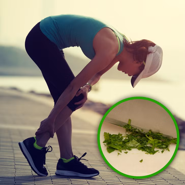 5. Rau mùi tây: Thảo mộc này có thể giúp điều trị huyết áp cao. Ngoài ra, vitamin K trong rau mùi tây cũng giúp ích cho sức khỏe của xương bằng cách làm cho chúng khỏe hơn. Rau mùi tây tươi có thể được thêm vào salad salad, nước xốt, và công thức nấu ăn hải sản.