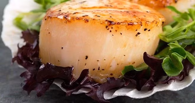 Sò điệp: Bác sĩ khuyến cáo người bị bệnh gút không nên ăn hải sản, đặc biệt là sò điệp. Các loại hải sản cần kiêng khác bao gồm các loại động vật có vỏ cứng . Có thể ăn tôm, tôm hùm, cá hồi và cua, vì chúng có lượng purine thấp.