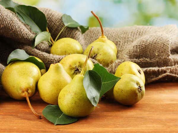 Lê giúp giảm táo bón vì quả này chứa nhiều fructose và sorbitol. Fructose có tác dụng kích thích khả năng đại tiện. Mặt khác, sorbitol hoạt động như thuốc nhuận tràng, làm mềm phân và giúp giảm táo bón một cách hiệu quả.
