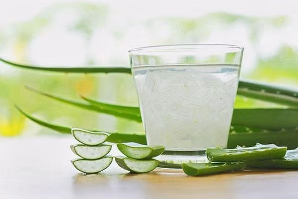 Nước ép nha đam: Nha đam có khả năng giữ nước, cấp ẩm, tăng cường độ đàn hồi cho da. Đặc biệt, nước nha đam giúp sản sinh Collagen. Chính vì vậy, nước uống nha đam vừa tốt cho sức khỏe vừa giúp nuôi dưỡng làn da trẻ.