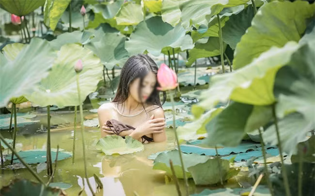 Thậm chí, từng có cô gái khỏa thân trong đầm sen đã tạo nên những phản ứng bức xức trong cộng đồng mạng.