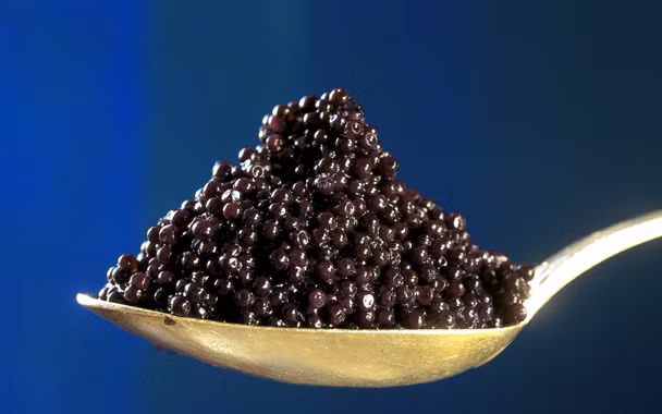 Là một sự hòa quyện tuyệt vời giữa các vitamin và khoáng chất, trứng cá muối được ưu ái sử dụng trong chăm sóc da.