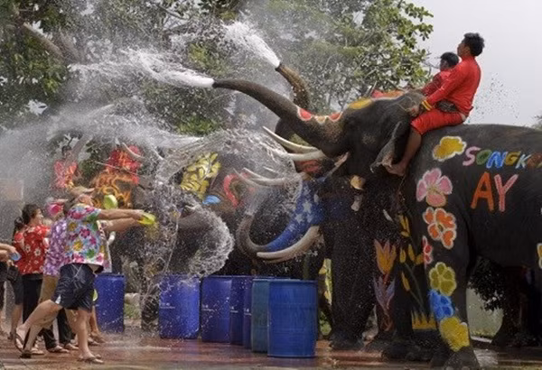 Đặc biệt dịp này ở đây còn có lễ hội té nước với nhiều màn trình diễn môn võ thuật truyền thống của Thái Lan hay chương trình tạp kỹ với nhiều tiết mục đặc sắc như nhảy hoạt hình, xiếc khỉ, Alibaba và bốn mươi tên cướp...
