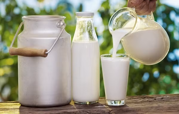 Tránh những loại sữa chưa tiệt trùng và phô mai làm từ sữa chua tiệt trùng có độ tuổi ít hơn 60 ngày. Sữa tươi chưa tiệt trùng có thể chứa những vi khuẩn như E.coli, salmonella gây bệnh nghiêm trọng, thậm chí có thể tử vong.