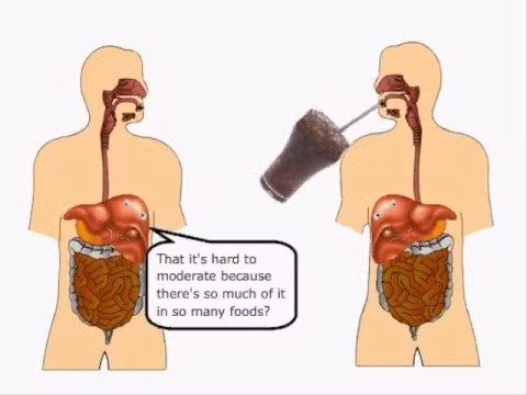 Thực phẩm chế biến sẵn chứa đậu nành. Đừng bị lừa rằng đậu nành nào cũng tốt cho sức khỏe. Bột đậu nành thường được sử dụng để thay thế các khẩu phần về thịt như bánh mỳ kẹp, hot dog, hoặc thịt gà. Đậu nành là một trong những loại cây trồng biến đổi gen chủ yếu. Trên thực tế, người ta nói rằng trên 94% đậu nành bị biến đổi gen.
