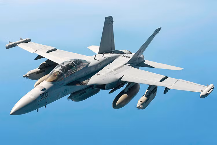 Ít nhất một phi đoàn của CVW-2 được trang bị mẫu máy bay tác chiến điện tử hiện đại nhất Hải quân Mỹ - EA-18G Growler. Nó có ngoại hình không khác gì F/A-18F Super Hornet (phiên bản 2 chỗ ngồi), tuy nhiên bên trong được tích hợp các khí tài điện tử tiên tiến hơn nhằm phục vụ mục đích gây nhiễu, tấn công điện tử. Đặc biệt là khả năng phá hủy các đài radar của đối phương bằng tên lửa chống radar HARM. Nguồn ảnh: Wikipedia