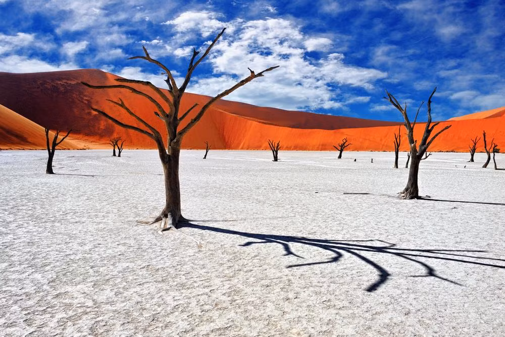 Những đồi cát màu cam: Sossusvlei, một chảo muối rộng lớn ở trung tâm công viên quốc gia Namib-Naukluft, được bao phủ bởi màu cam rực rỡ. Màu sắc này được hình thành từ sự gỉ sét và là một dấu hiệu của quá trình oxy hóa do nồng độ sắt cao trong cát. Một số cồn cát trong khu vực này được cho là cao nhất trên thế giới. Những cồn cát màu cam cao từ 200-400 m. Ảnh: Oleg Znamenskiy.