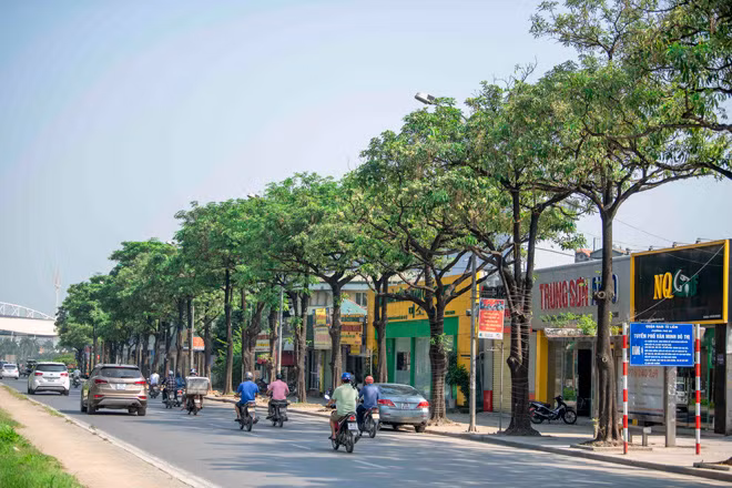 Nắng nóng ngột ngạt cùng với mùi hoa sữa khiến không ít người dân Thủ đô cảm thấy khó chịu.