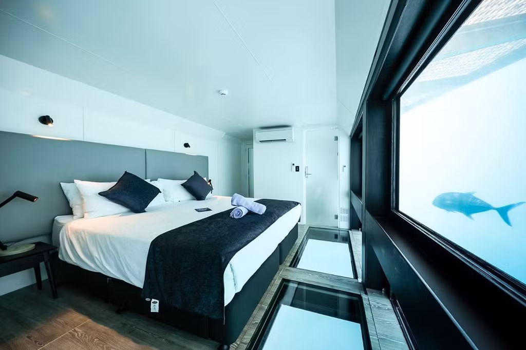 Khách sạn có 2 phòng chính được xây dựng dưới mặt nước với view hướng ra vịnh Great Barrier Reef. Với số tiền khoảng 13 triệu đồng, du khách sẽ được lưu trú tại một trong 2 căn phòng dưới mặt nước này bắt đầu từ ngày 1/12. Với mức giá trên,khách thuê phòng sẽ được hưởng những dịch vụ như thuyền đưa đón từ bờ biển Airlie ra khách sạn và các bữa ăn sáng, trưa, tối cùng một buổi trà chiều miễn phí. Ảnh:Cruisewhitsundays.