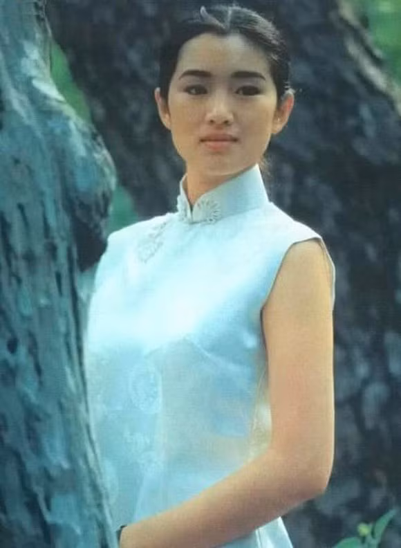 Củng Lợi.