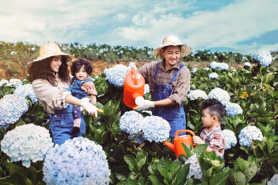 Nữ ca sĩ chia sẻ: "Về đến nhà thì anh nhỏ ngủ mất tiêu. Mẹ tắm nhanh rồi 2 tay ôm 2 đứa lớn ngủ. 2 anh chị ngủ rồi mẹ chạy lên phòng để hít hà anh nhỏ 1 lúc... rồi quay về phòng với 2 anh chị. Thật sự không biết các mẹ khác thế nào chứ riêng Băng, Băng rất sợ nhiều con. Không phải sợ mang nặng đẻ đau, không phải sợ vất vả mà sợ không đủ thời gian để chăm sóc đồng đều cho tất cả...".