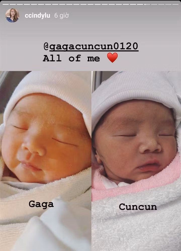 Hai con gái của Hoài Lâm và Bảo Ngọc nhận được nhiều lời nhờ ngoại hình xinh xắn, đáng yêu.