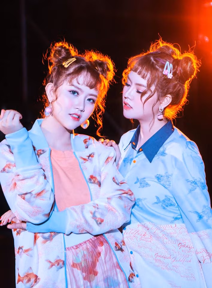 Trước ồn ào, cặp chị em Bảo Anh - Bảo Trân từng bị so sánh với cặp chị em song sinh Lệ Nam - Nam Em. Chính điều này khiến, cặp song ca không mấy hài lòng.