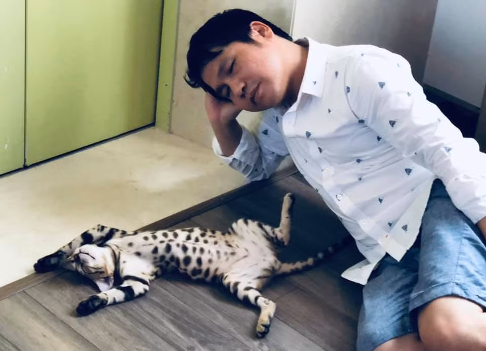 Thấy dáng ngủ mèo cưng độc đáo, Trọng Tấn viết: "Êm đềm một giấc ngủ trưa". NSND Lê Tiến Thọ góp thêm câu thứ 2, tạo thành cặp thơ lục bát: "Ngoài kia náo nhiệt, nắng mua kệ đời".