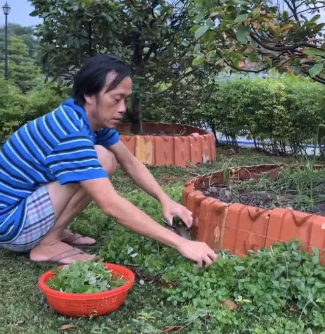 Hoai Linh: 