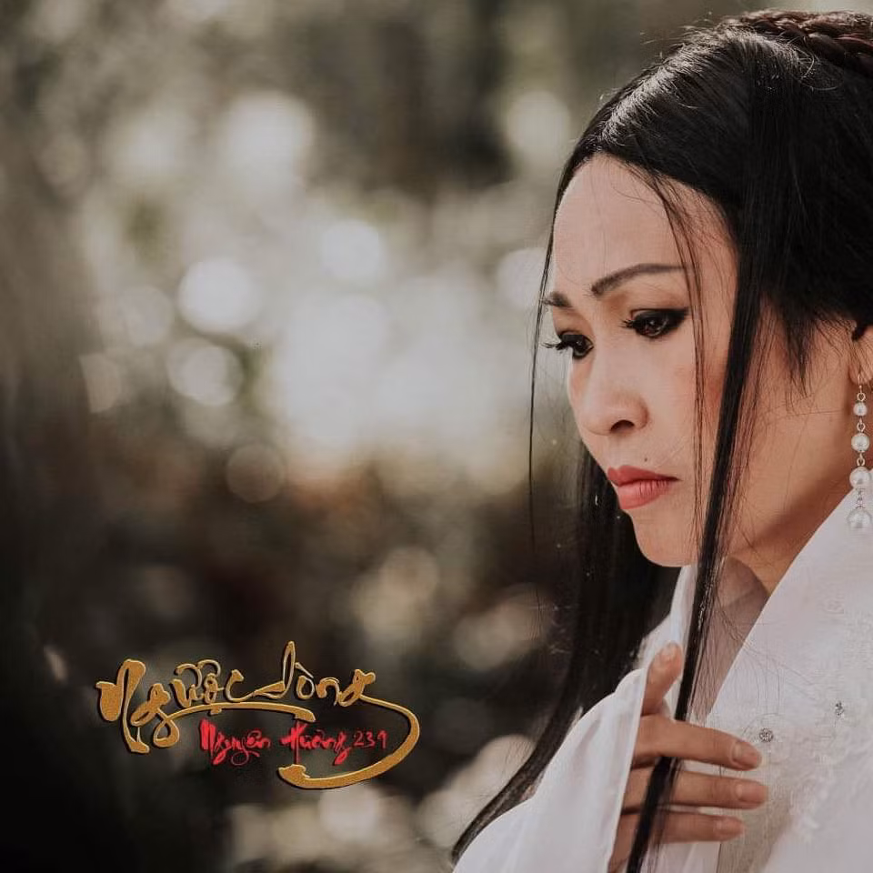 Phuong Thanh tuyen bo dong Facebook: “Toi guc nga vi ho lam ton thuong”.-Hinh-2