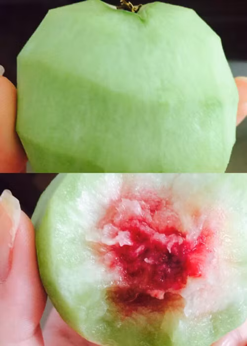 Dù biết cần hạn chế ăn đào trong thời kì bầu bí nhưng Hồng Quế không kìm được lòng mình trước thứ quả mà cô rất thích.