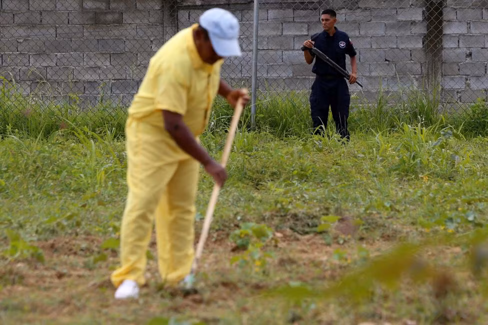 Một quản ngục đang đứng gác trong khi các tù nhân đang trồng rau ở nhà tù Rodeo III, Guatire, Venezuela ngày 1/7.