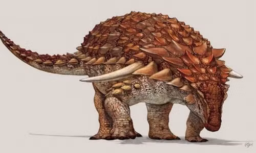 Khủng long ankylosaurs dùng màu da để ngụy trang trốn kẻ thù Khung long ankylosaurs dung mau da de nguy trang tron ke thu