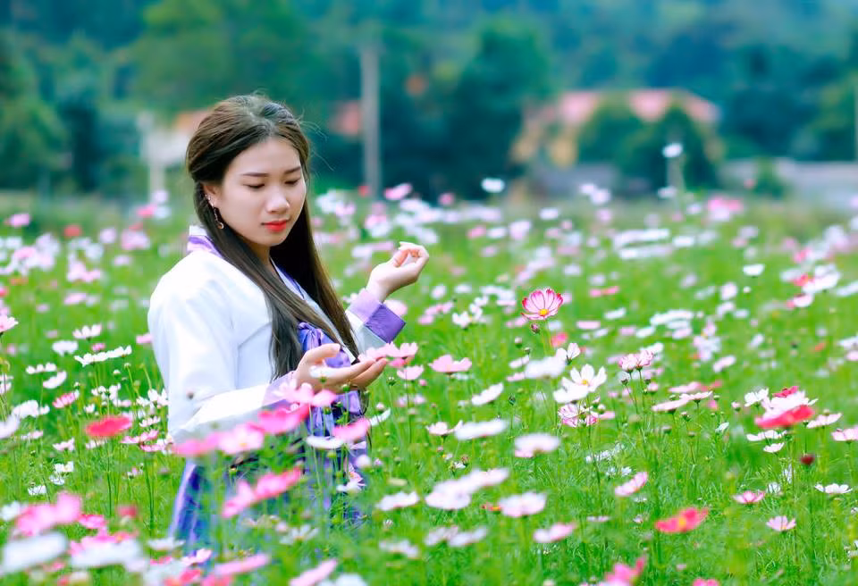 Ngoài hoa oải hương, đến Bắc Hà, bạn còn chìm đắm giữa loài hoa cánh bướm đang khoe mình trong sắc thu. Ảnh: Lê Hữu Trường