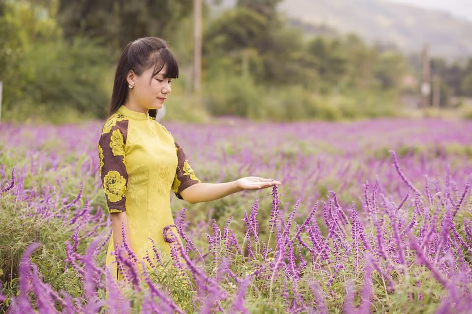 Du khách chọn trang phục áo dài chụp ảnh để lưu lại khoảnh khắc đẹp cùng hoa oải hương. Ảnh: Lê Hữu Trường