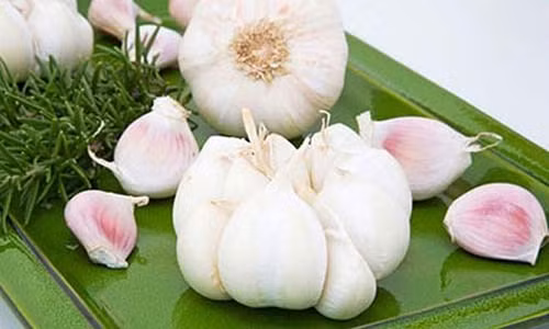 Nhung loai rau thom vuon nha giup tri benh hieu qua
