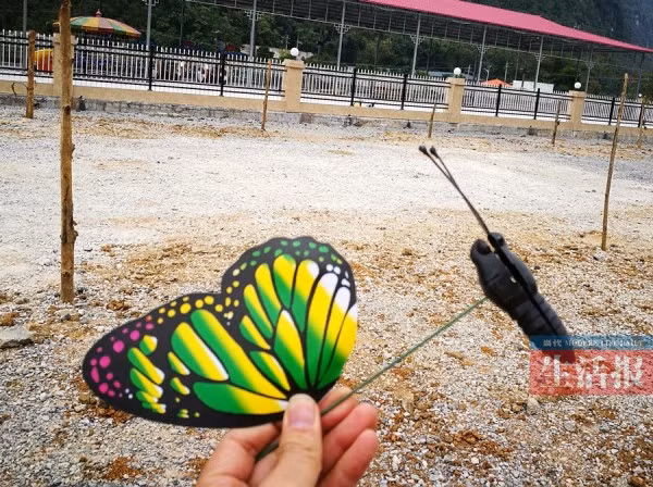Cứ ngỡ rằng được xem khung cảnh hàng ngàn con bướm bay lượn, nào ngờ các du khách chỉ thấy những con bươm bướm bằng nhựa.