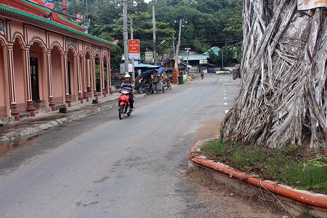 Cách đây hơn 20 năm, khi UBND huyện Tri Tôn mở đường vào thị trấn Ba Chúc, “cụ” dầu lọt ra giữa lòng đường, trở thành vòng xoay bất đắc dĩ.