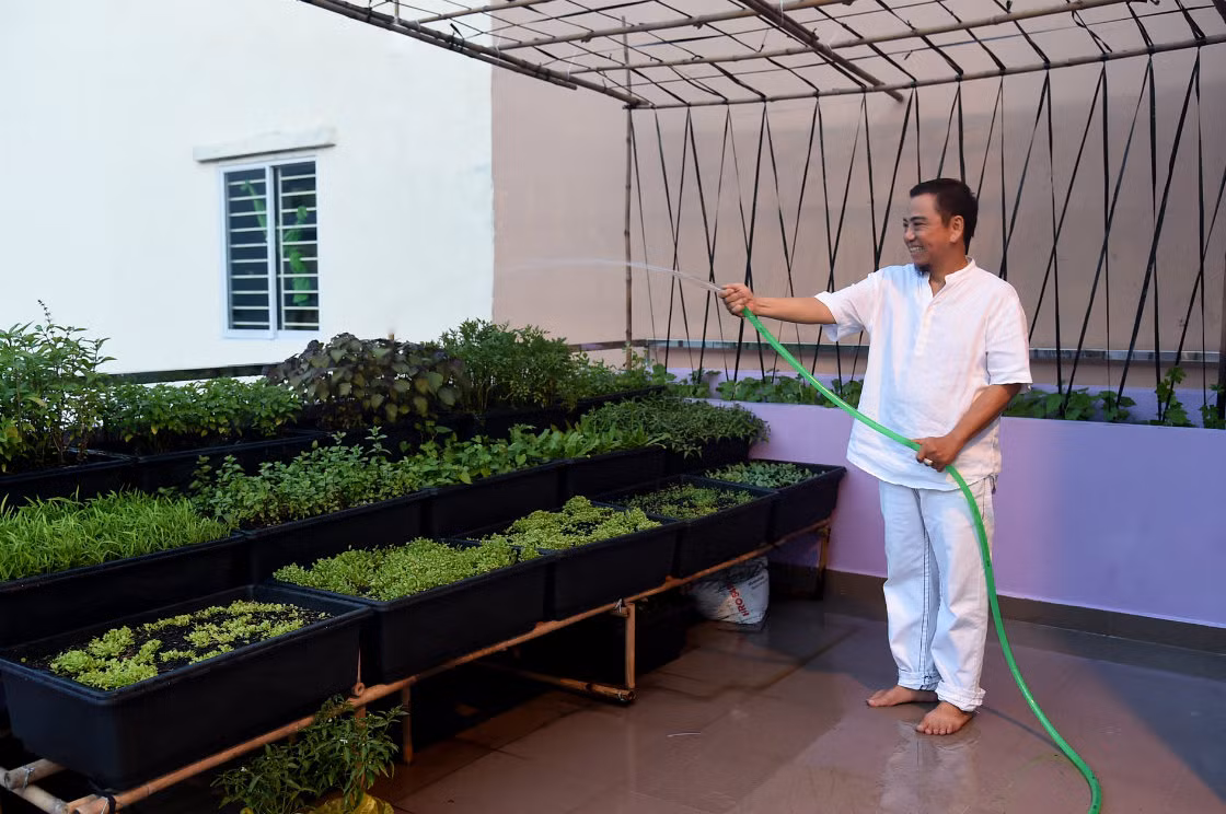 Sân thượng của Hồng Tơ rất khác biệt. Phía sau là vườn rau chăm chút kỹ lưỡng, là thực phẩm chính trong những buổi ăn chay.
