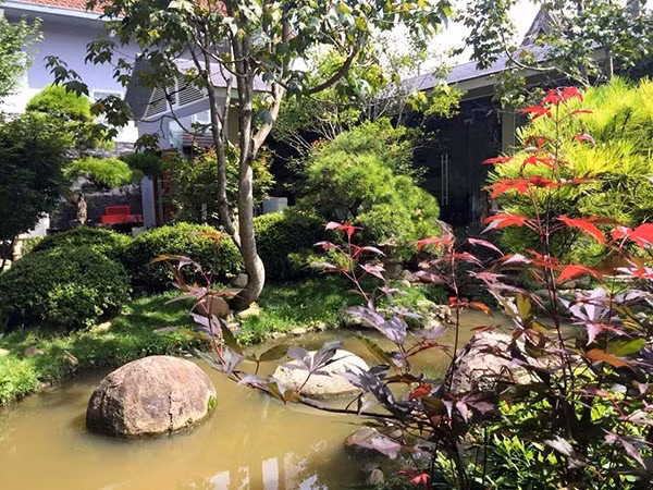 Còn gì thú vị bằng được ngồi nhâm nhi tách cà phê dịu ngọt dưới những vòm xanh bát ngát, ngắm những tia nắng lung linh nhảy nhót hay những hàng bon-sai nghệ thuật, cắn vị bánh cookie trà xanh giòn tan trong miệng để vứt bỏ những ồn ào ngoài kia, tận hưởng cuộc sống bình yên, thanh bình...