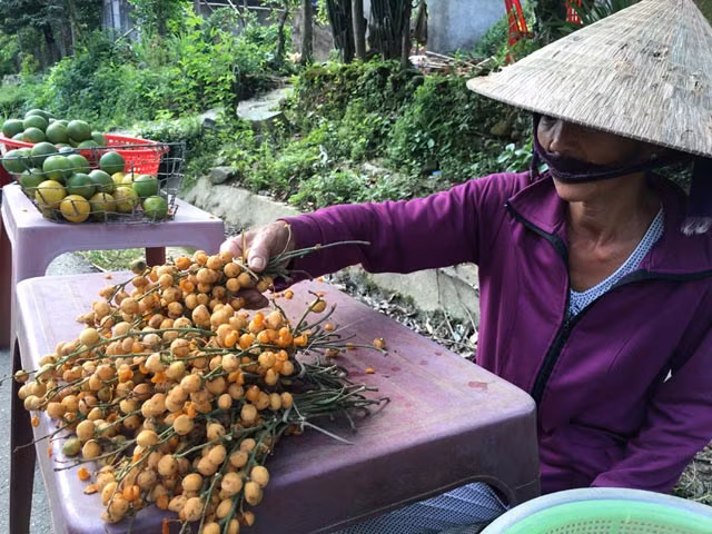 Ông Hồ Văn Tiu (37 tuổi, ở xã Trà Lãnh,Tây Trà) cho biêt:" Cây nẻ khá cao nên đòi hỏi người đi hái phải biết leo trèo giỏi. Hôm nào nhiều thì mỗi người hái được 30 - 40kg trái, ít thì 20kg. Sau khi hái về thì cột lại thành từng chùm 1 - 1,5kg, rồi đem bày bán ven đường. Giá trái nẻ hiện 12.000 - 15.000 đồng/chùm, cao gần gấp đôi so với năm ngoái".