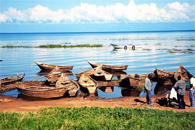 Hồ Victoria, Uganda: Hồ Victoria là hồ lớn nhất châu Phi và là một trong những hồ nước ngọt lớn nhất trên thế giới. Hồ cung cấp những bãi cát trắng chạy dài, những khu rừng xanh xum xuê và mặt nước trong veo với rất nhiều sinh vật đa dạng dưới nước.