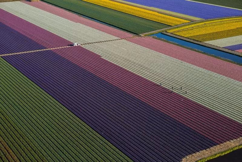 Ảnh George Steinmetz.