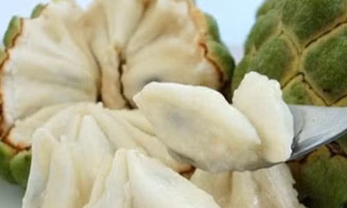 Những người này có thèm đến mấy cũng chớ dại mà ăn na Nhung nguoi nay co them den may cung cho dai ma an na