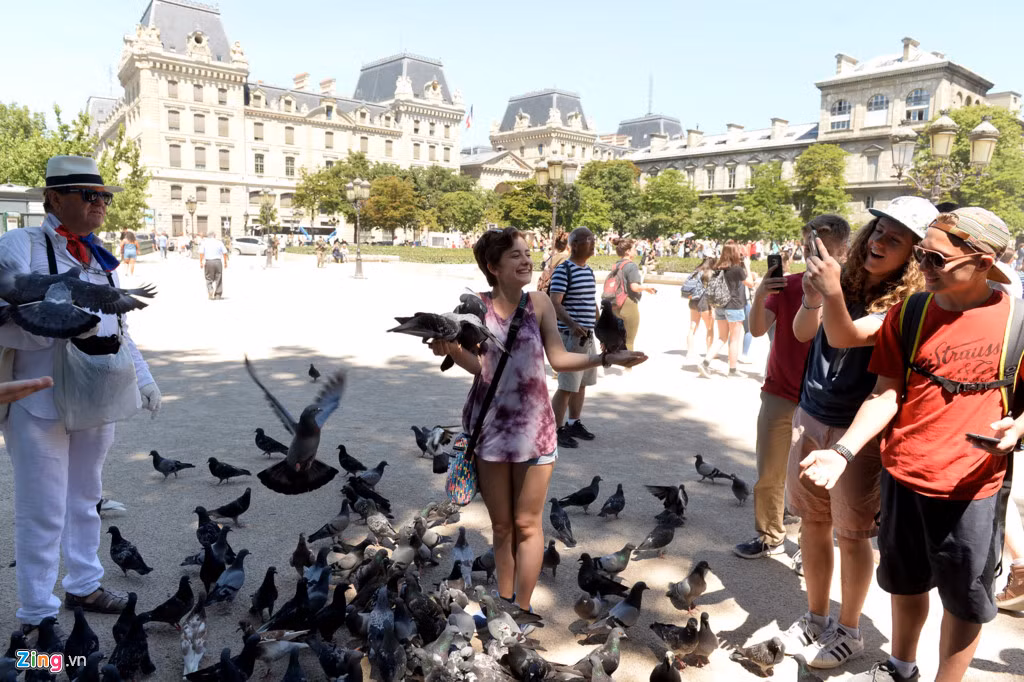 Trước khuôn viên nhà thờ Đức Bà Paris có rất nhiều chim bồ câu. Chúng sà xuống mỗi khi có khách mang thức ăn tới.