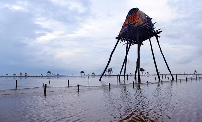 Ve Dong Chau xem cao ngao, ngam hoang hon ben bo bien hoang so