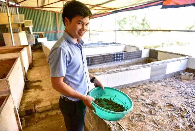 "Ghe ghe" trong trang trai nuoi hon 20.000 con con trung o Ha Noi