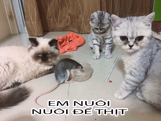 Đằng sau vẻ tử tế.