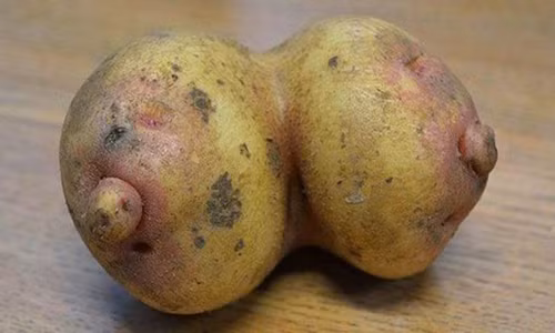 Ai gọi khoai cứ gọi, còn tớ thì không Ai goi khoai cu goi, con to thi khong