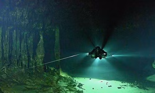 Các thợ lặn mới đây đã phát hiện loài tôm chuyên ăn khí metan bên dưới hang động ngập nước ở Mexico.
