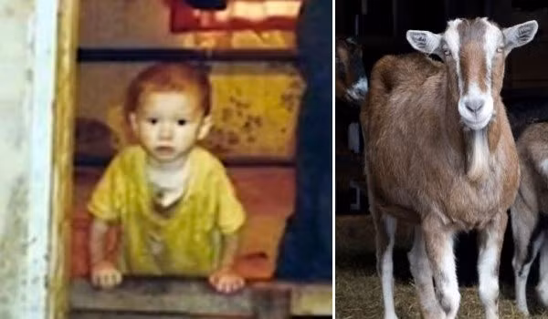 Bi kịch những đứa trẻ được thú hoang nuôi dưỡng - Hình 2 Bi kich nhung dua tre duoc thu hoang nuoi duong-Hinh-2