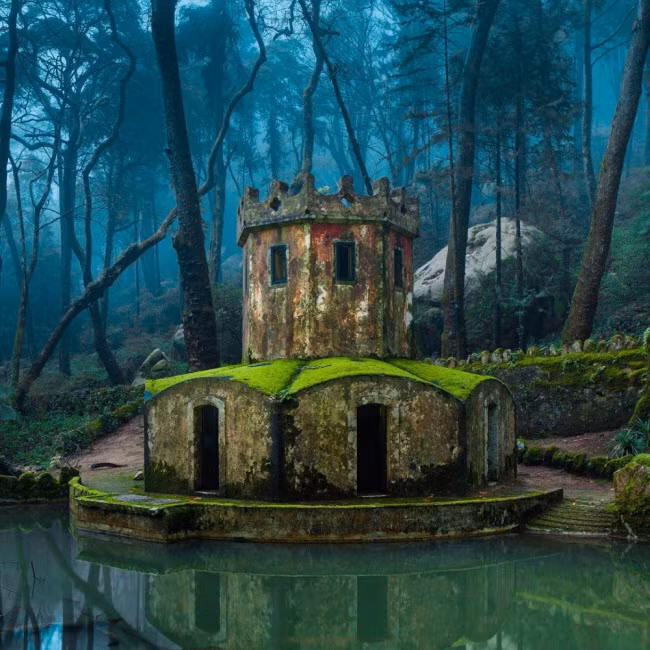  Địa điểm bỏ hoang này là phế tích của một lâu đài cổ ở Sintra, Bồ Đào Nha.