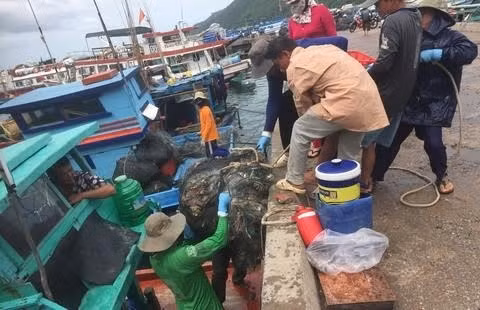 Hiu hat nhung manh doi oan minh kiem 80 nghin qua ngay-Hinh-2