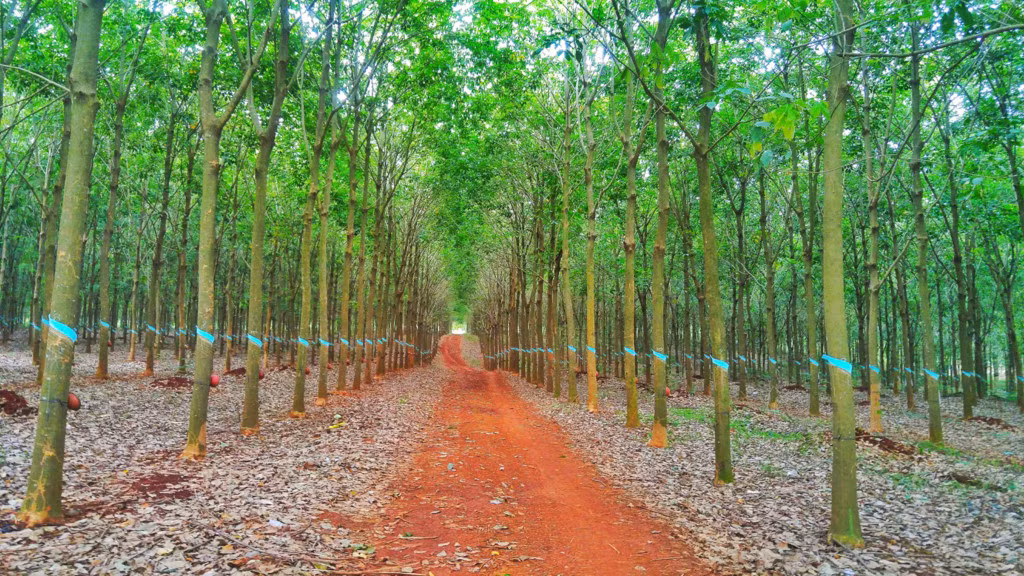 He ky thu tren cung duong bien Nam Trung Bo - Tay Nguyen