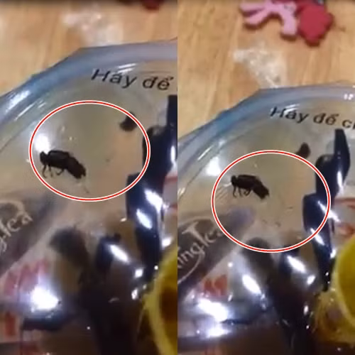 "Kinh hon" vi an tom hum, ga ran duoc "khuyen mai" ca doi, gian-Hinh-2