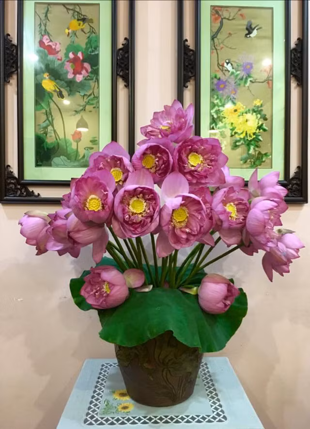 Nhung loai hoa "chay hang" thang co hon-Hinh-2