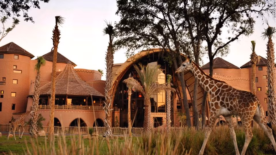 Disney's Animal Kingdom Lodge, Florida, Mỹ: Du khách đến khahs sạn này giống như ghé thăm Châu Phi mà không cần rời khỏi Mỹ. Du khách có thể nhìn thấy ngựa vằn, linh dương đầu bò, hươu cao cổ, cò và khoảng 200 động vật có vú và chim. Ảnh: CNN.