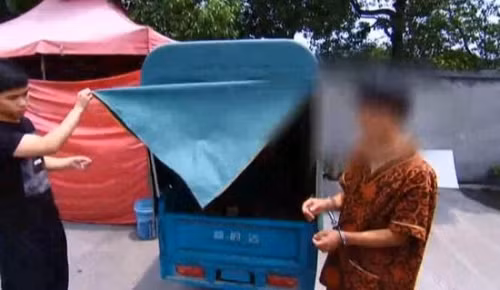 Hoa tang xac bo ruot tai bai rac vi muon tiet kiem tien-Hinh-2
